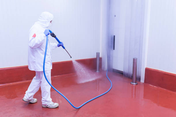 Best Rust and Stain Removal in Saxapahaw, NC